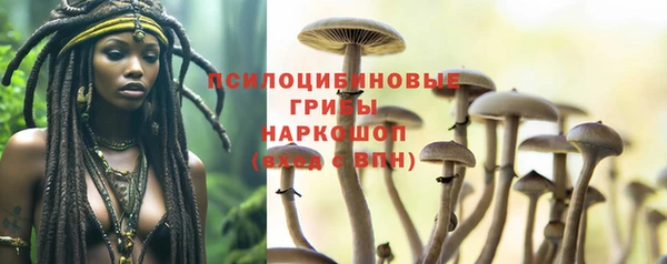 трава Нея