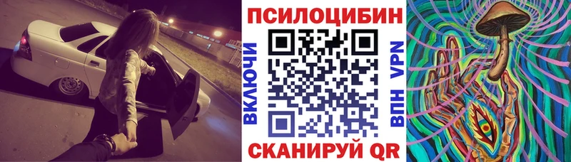 Псилоцибиновые грибы Psilocybe  Грозный 