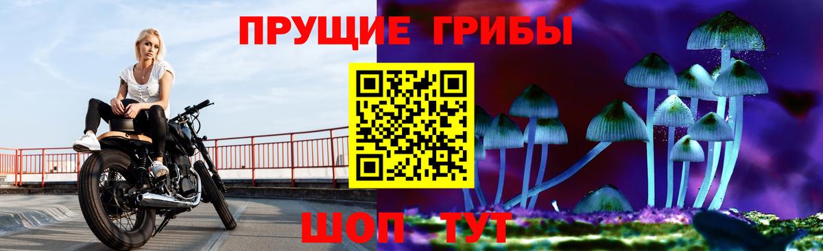 Псилоцибиновые грибы мухоморы Грозный