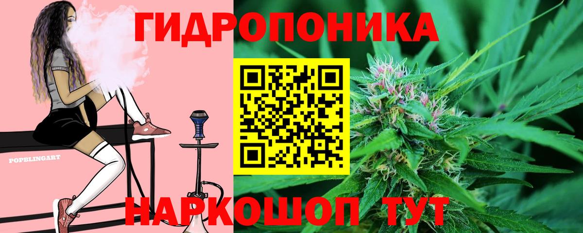 Марихуана AK-47 Грозный
