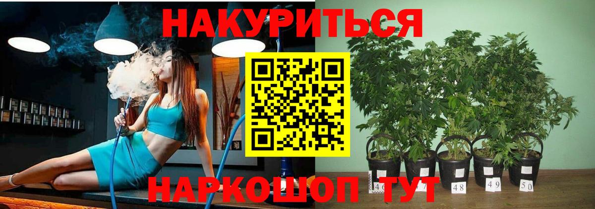 Бошки марихуана индика Грозный